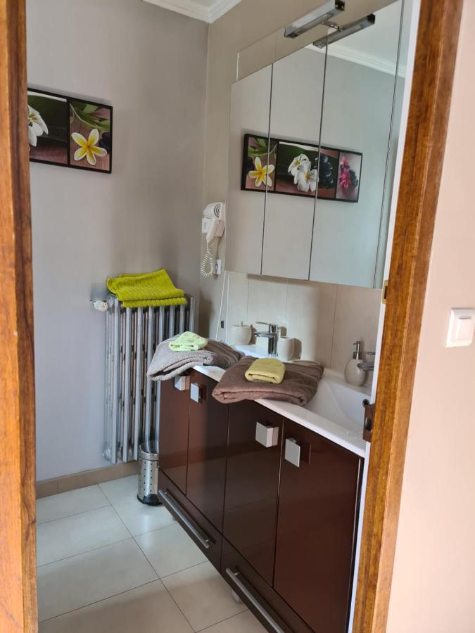 Appartements Dans Villa Privee Avec Piscine, Jardin, Parking Clos, Wifi, Climatisation Мерёй Экстерьер фото