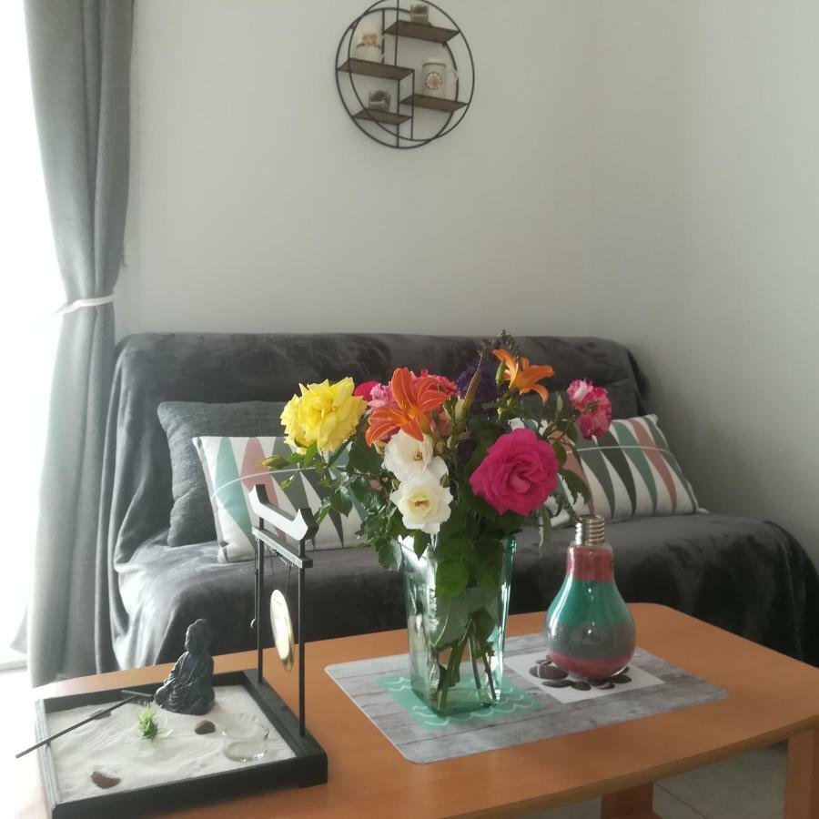 Appartements Dans Villa Privee Avec Piscine, Jardin, Parking Clos, Wifi, Climatisation Мерёй Экстерьер фото